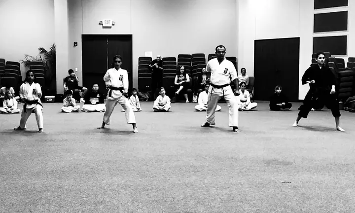 Fulshear Family Karate students and instructors practicing a kata together in the dojo